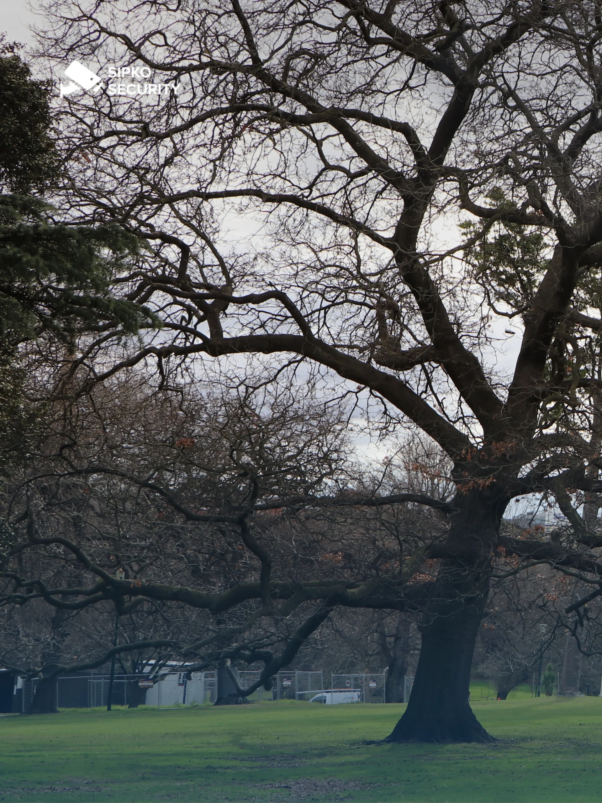 Sipko Security - From Call to Camera How We Work in East Melbourne