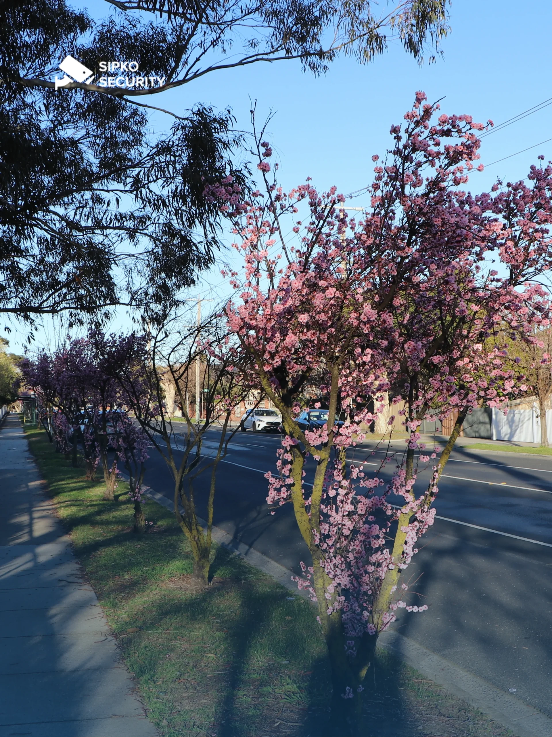 Sipko Security - Lock In Peace of Mind in Murrumbeena 3163 in Melbourne