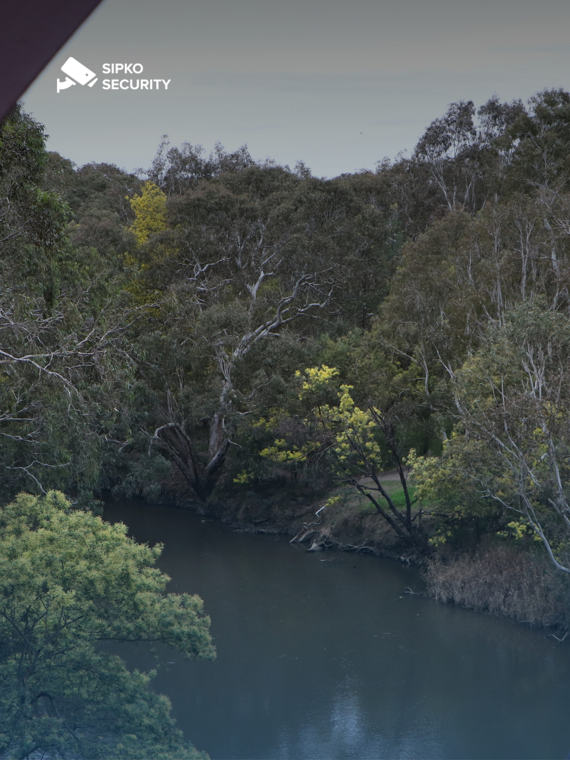 SIPKO Security CCTV installation in Alphington - Happy client reviewing security footage on mobile app