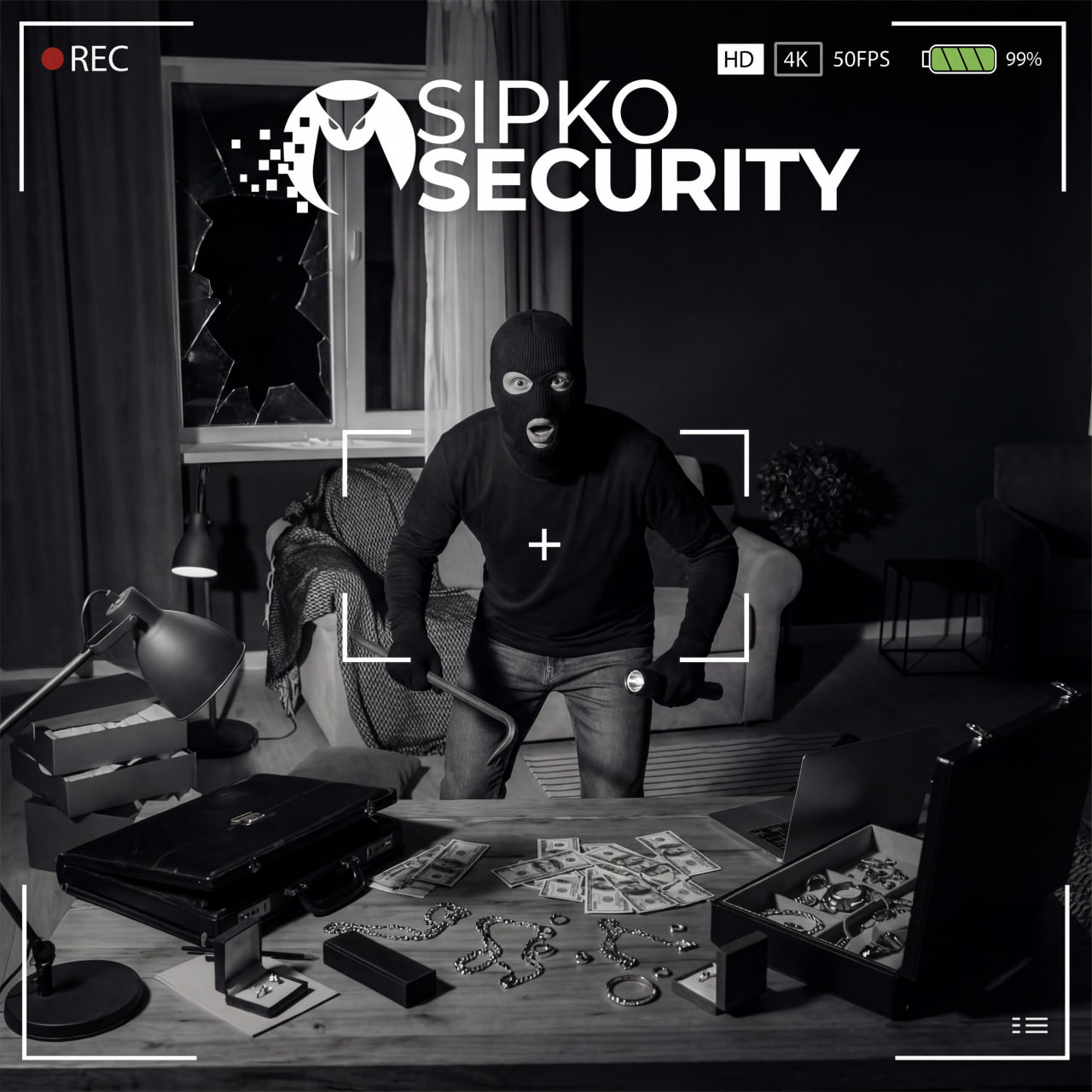 Common property crime scenarios in Ormond