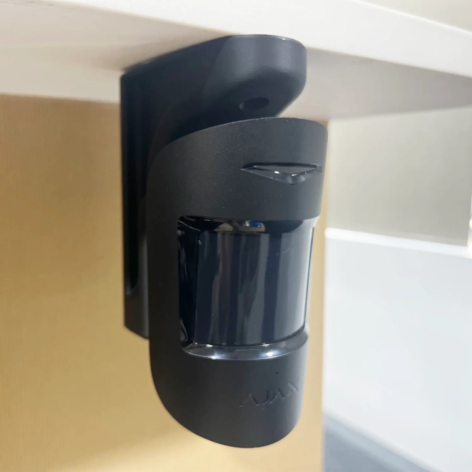 Ceiling Mount Black