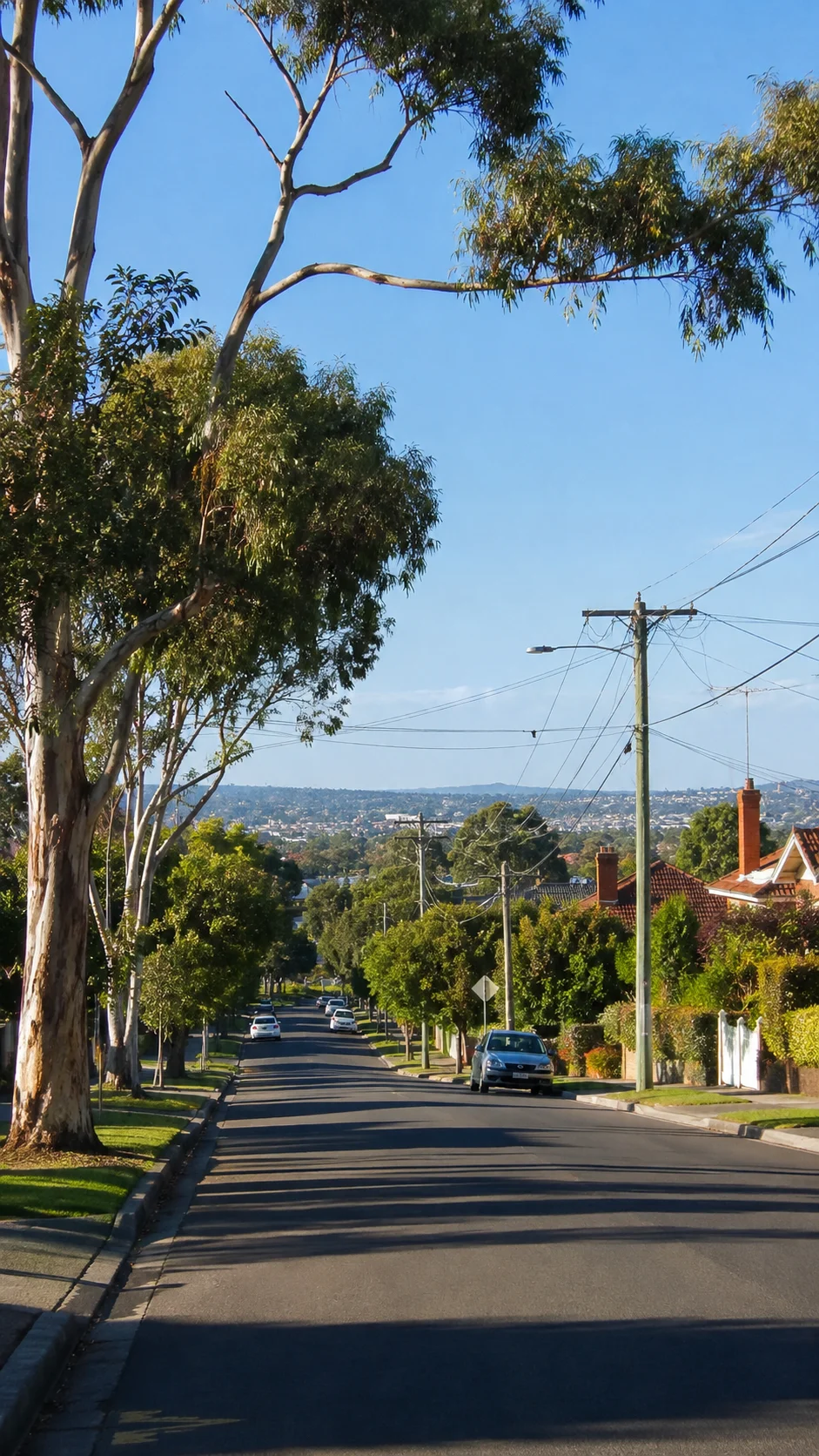 Alarm zone planning for an Eaglemont property with a single curving driveway and no street-level sightline