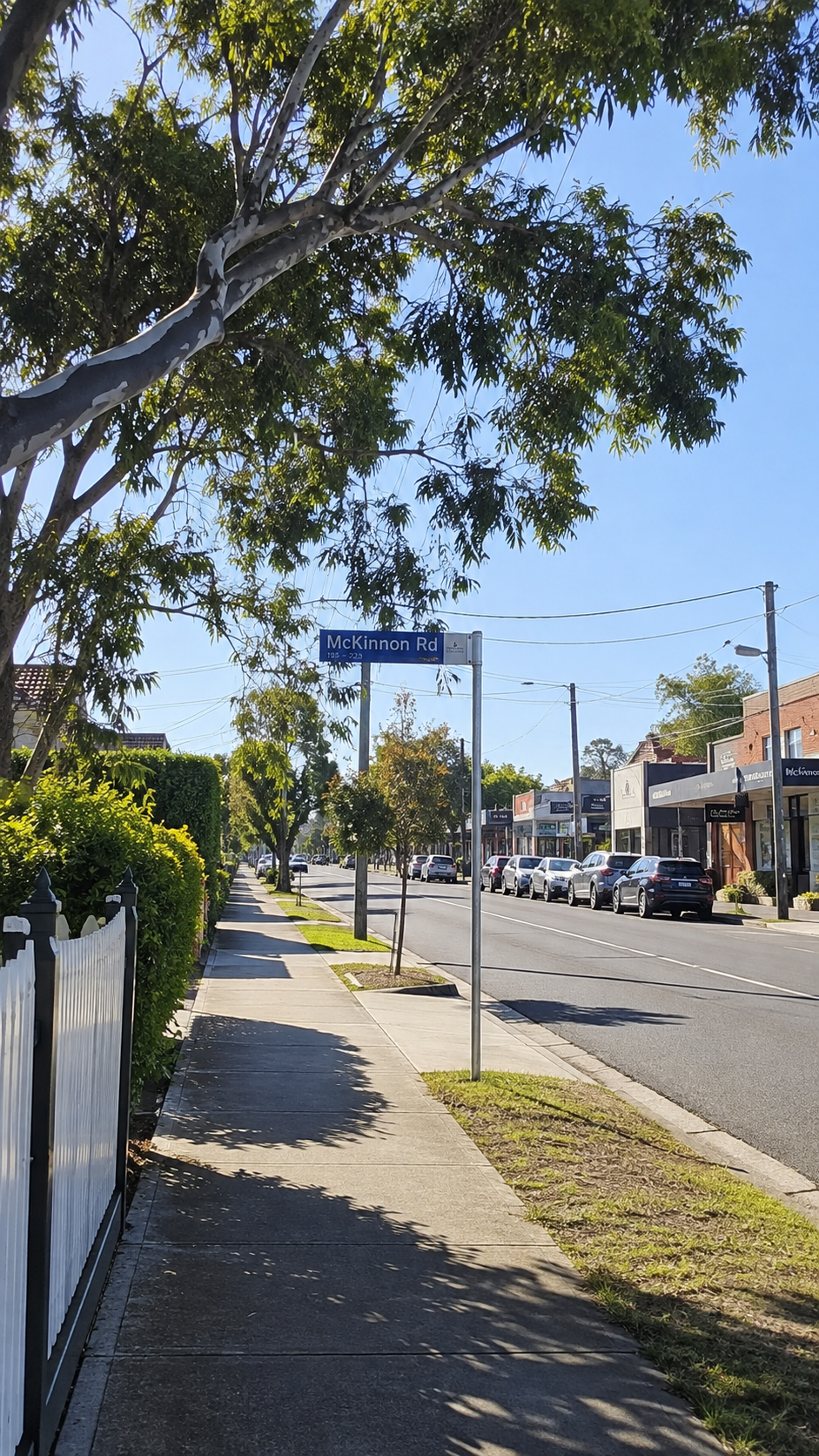 Home security installation in McKinnon showing alarm panel and rear laneway zone configuration