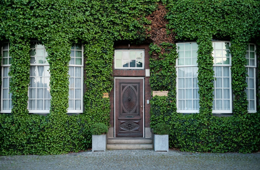 lower security alarm cost - front door entry point - SIPKO Security Timber front door, one of the entry points to keep covered when you lower security alarm cost