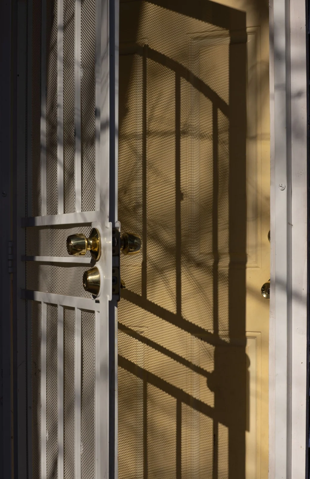 Metal screen door casting a shadow across a wooden entrance door